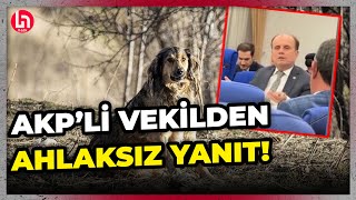 Hayvan katliamına karşı çıkan kadın telefonla görüştüğü AKP’li isimden utanç verici bir yanıt aldı [upl. by Nan]