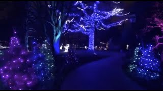 Virtual Tour Garden Glow [upl. by Berman358]