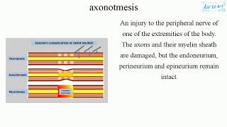 axonotmesis [upl. by Ocramed]