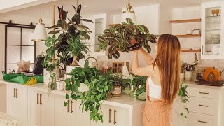 My Peaceful Houseplant Tour 30 Plants  Top 11 Container Gardening Tips [upl. by Elak]