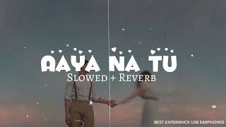 Aaya Na Tu A Fresh Take in Slowed  Reverb  New Version Delight 🎵 [upl. by Lenz]