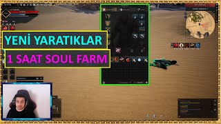 1 Saat Soul Rise Online Farm 2024 [upl. by Aronal93]