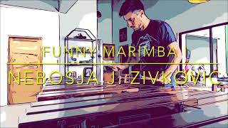 N J Zivkovic  Funny Marimba I [upl. by Ahseiym881]