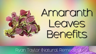 Amaranth Leaves Benefits and Uses [upl. by Eirb]