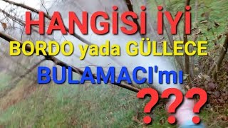 BORDO bulamacımı GÜLLECİ bulamacımı kullanmalıyız tropikaltopraktv tarım [upl. by Khai]