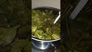 Curry Leaves Tea [upl. by Luap]