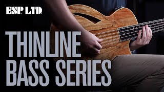 ESP LTD Thinline Bass Series  5 string amp Fretless Introduced [upl. by Dusza]