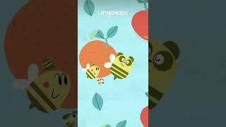 Buzzing Bees 🌻 All About Bees with lingokids bees kidsepisode lingokids [upl. by Bruni]