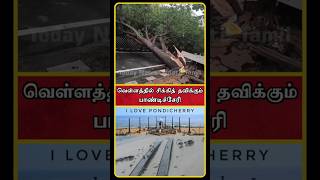 Fengal Cyclone News  Pondicherry Tourist Places  Pondicherry Flood  Pondicherry  Pondy  shorts [upl. by Eydie793]