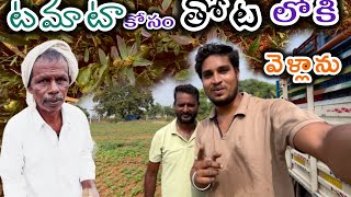 కష్ట పడ్డదానికి ఫలితం మాత్రం దక్కింది🍅🫑🥦🧅🥬🌽mrsnayak [upl. by Assanav]