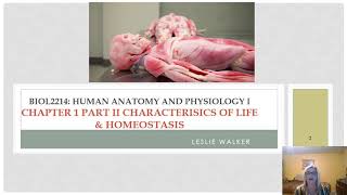 chp1 part 2 characteristics of life and homeostasis video [upl. by Leotie144]