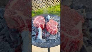 Steaks on the Coals  Over The Fire Cooking by Derek Wolf [upl. by Duaner]