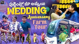 పుట్టింట్లో మా అమ్మాయి Wedding Anniversary  Farm Tour  Zubeda Ali  Zubeda Ali Vlogs  Strikers [upl. by Roede]