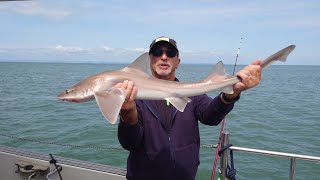 1301 VAC 2nd twoday Sea Fishing trip aboard catamaran Weyfish One WH7 out of Minehead  July 2024 [upl. by Roxi]