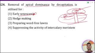 Removal of apical dominance by decapitation is utilised for [upl. by Pacorro756]