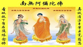 🙏念佛積福↗ ☀️ 靜慮減壓↘｜【南無阿彌陀佛】八小時（華樂版）；蓮池大師：念佛之人，有四十里光明燭身，魔不能犯。｜ Amitabha Buddha chant 8 hours [upl. by Llertak]