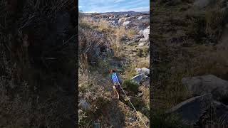 Hardangervidda National [upl. by Klarika]