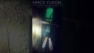 Shimmy Shimmy scubadiving underwater fish travel sandiego hmcsyukon shipwreck [upl. by Doownil699]