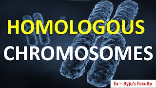 Homologous Chromosomes in Hindi  Sister Chromatids amp Crossing Over  Genetics Class 12 amp 10  NEET [upl. by Ardnael]