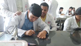 Blood Group Testing  ASMC Hardoi govt medical College  Pathology Laboratory [upl. by Anilesor579]