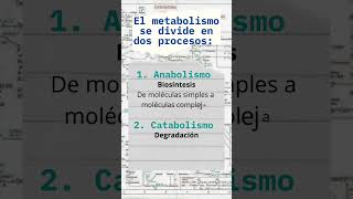 Metabolismo anabolismo y catabolismo diferencias básicas bioquímica metabolismo reacciones [upl. by Eilsel]