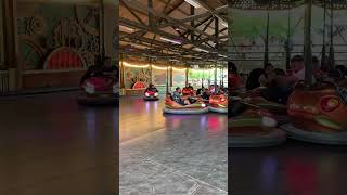 Drievliet Den Haag bumpercars denhaag kids amusementpark dagjeuit [upl. by Lozano]