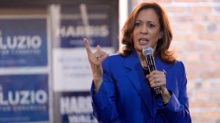 ‘Cluster of a campaign’ Kamala Harris was ‘not prepared’ for Donald Trump to win [upl. by Janey366]