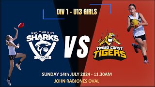 Southport Sharks v Tweed Tigers  14th July 2024 [upl. by Demah]