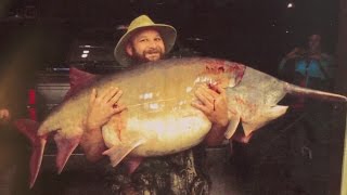 Missouri Record Fish Stories  Paddlefish [upl. by Reg]