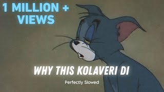 Why This Kolaveri Di  Dhanush Perfectly Slowed 𝗟𝗢𝗡𝗘𝗟𝗬 𝗟𝗢𝗙𝗜 𝗚𝗨𝗬 [upl. by Arnulfo]