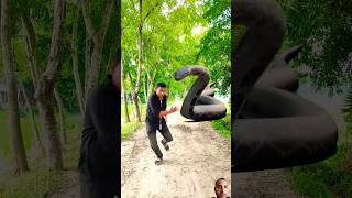 Anaconda snake 2 real life 😳 love anaconda funnycomedy vfx shortsfeed viralshorts shorts [upl. by Nrubyar]