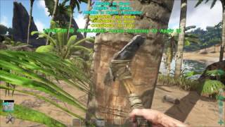 How to apply your level ups  ARK Survival Evolved [upl. by Nesrac]