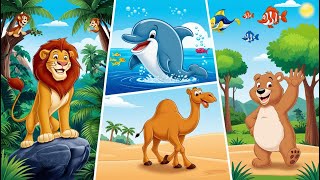 Where Do Animals Live  Fun Animal Habitats Song for Kids Where Do They Live [upl. by Lud]