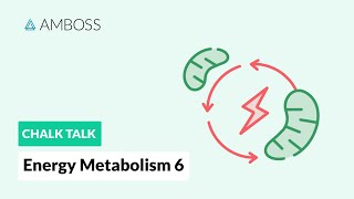 Energy Metabolism  Part 6 The Citric Acid Cycle with molecular structures [upl. by Aunson]