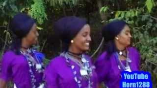 Ethiopian Traditional Music  ዋኘው አሸናፊ  ጅንኑ ጎጃሜ [upl. by Dragoon]