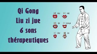 6 sons thérapeutiques qi gong  Liu zi jue [upl. by Fernald787]