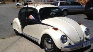 VOLTZ Electric Bug Conversion [upl. by Ziana965]