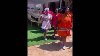 A Traditional Pedi Wedding Dance shorts [upl. by Aivekahs]