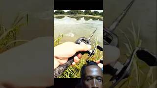 bassfishing fishing fish casting carp fishingtips mancing [upl. by Haimerej]