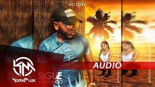 Mg Love  Sigue Meneando  AUDIO [upl. by Duky26]