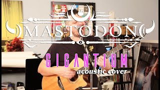 Mastodon  Gigantium Acoustic Cover [upl. by Eilagam608]