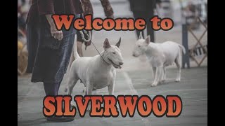 Welcome to Silverwood [upl. by Monteith]