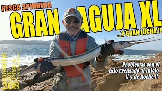 PESCA SPINNING GRAN AGUJA XL y gran lucha Problemas con el hilo trenzado Señuelos Aliexpress [upl. by Reivaxe]