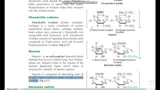 Mucopolysachharides structure of Chondroitin sulfates Heparin Dermatan sulfate Keratan sulfate DMLT [upl. by Nnaharas823]