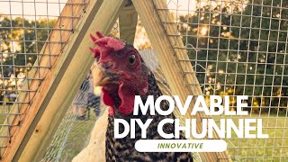 DIY Chicken Tunnel StepbyStep Guide to Building a Movable Chunnel [upl. by Yablon]