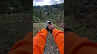 10mm bear gun vs steel target Glock 29 SF [upl. by Terzas]