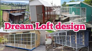 Pigeon Loft design  DreamLoft [upl. by Ettelegna]