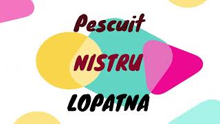 PESCUITUL LA NISTRU  Рыбалка Днестр  locuri de pescuit la nistru [upl. by Sig]