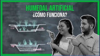 Tratamiento sustentable del agua Cómo reciclar el agua residual en casa [upl. by Ahto]