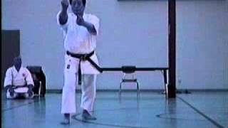 Soke Teruo Hayashi  Annan  Shito Ryu [upl. by Icram]